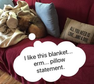 Blanket Statement