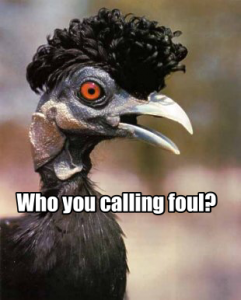 Foul fowl